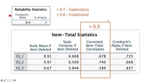 item analysis spss.